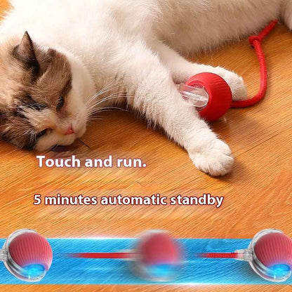 ActivePet: Auto-smart rolling pet toy
