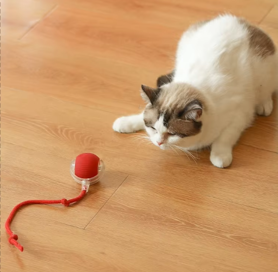 ActivePet: Auto-smart rolling pet toy